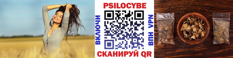 Псилоцибиновые грибы Magic Shrooms  Купить  Асбест 